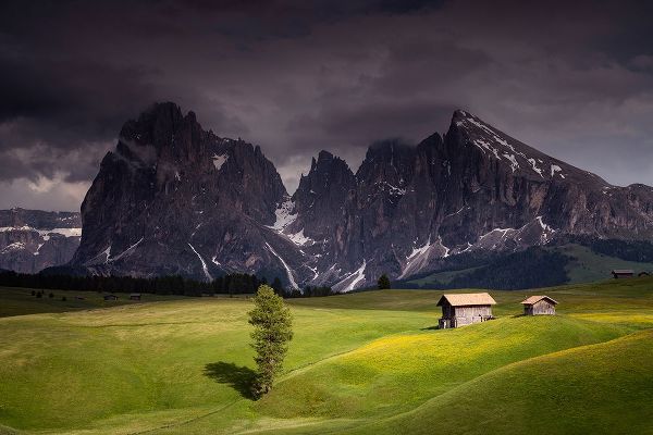 Jaynes Gallery 아티스트의 Europe-Italy-South Tirol-Alpine meadows with the Sasso Lungo and Sasso Piatto Mountains작품입니다.